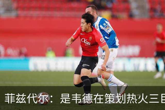 菲兹代尔：是韦德在策划热火三巨头 他告诉我能弄来波什和詹姆斯